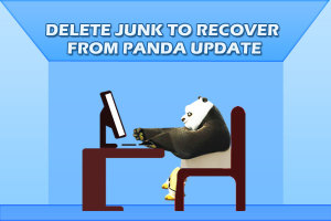 Delete-junk-to-recover-from-Panda-update1
